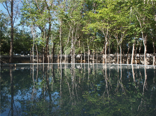 章俊華訪談：大地“衛士”