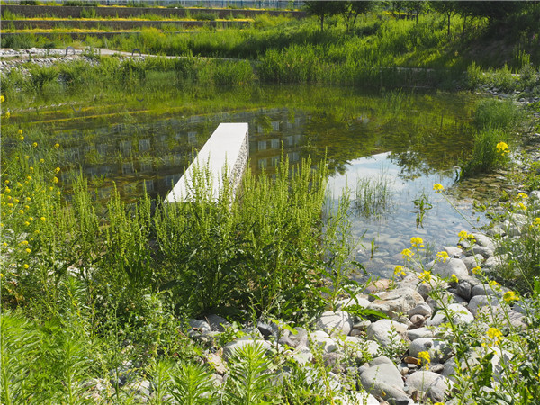 章俊華訪談：大地“衛士”