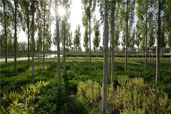 章俊華訪談：大地“衛士”