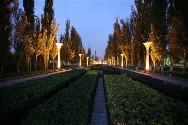 章俊華訪談：大地“衛士”