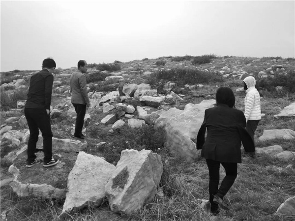 怡境景觀丨灃河濕地生態公園