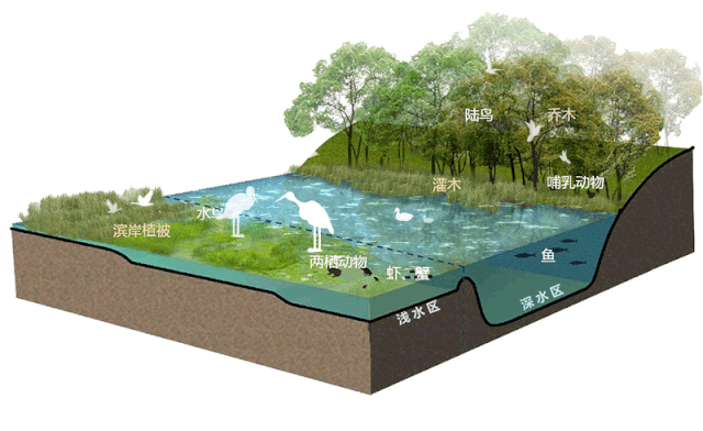 怡境景觀丨灃河濕地生態公園