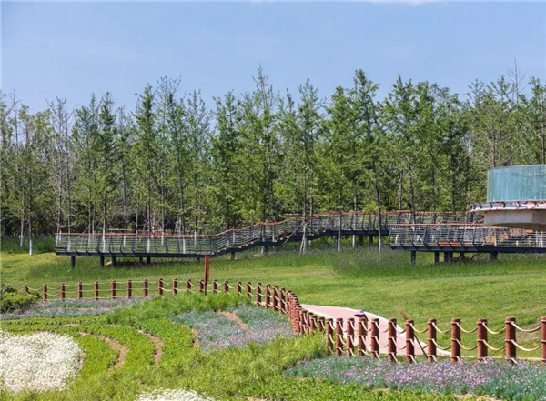 怡境景觀丨灃河濕地生態公園