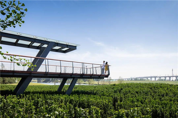 怡境景觀丨灃河濕地生態公園