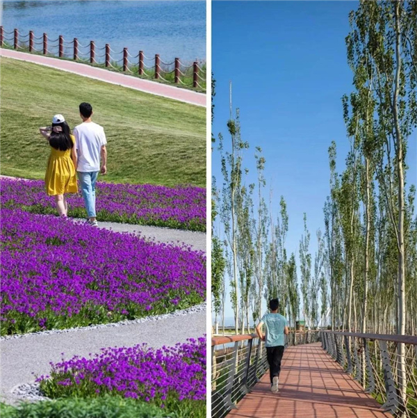 怡境景觀丨灃河濕地生態公園