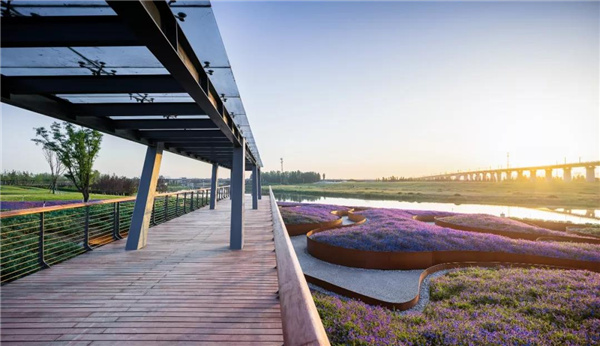 怡境景觀丨灃河濕地生態公園