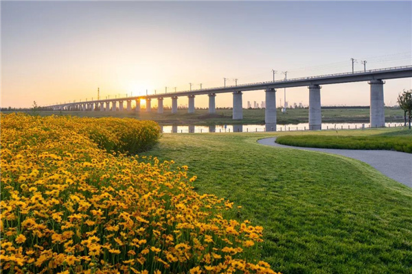 怡境景觀丨灃河濕地生態公園
