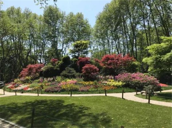 張建庭:杭州新西湖修復經驗