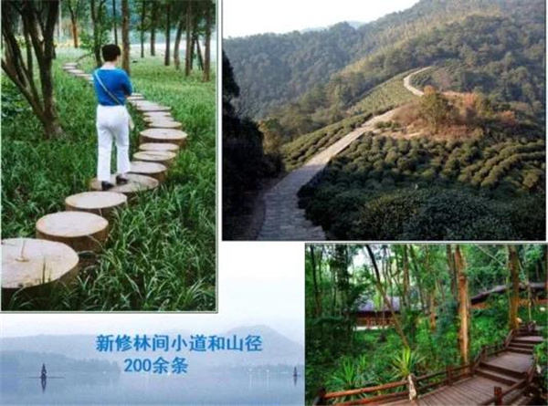 張建庭:杭州新西湖修復經驗