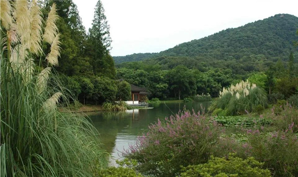 張建庭:杭州新西湖修復經驗