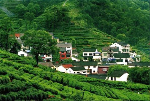 張建庭:杭州新西湖修復經驗