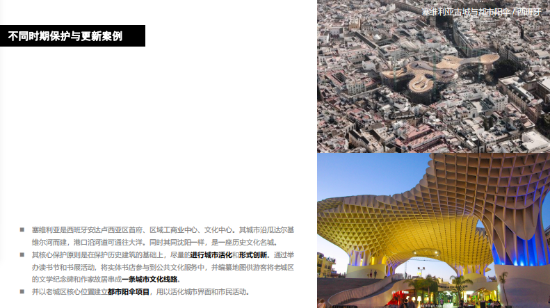 朱玲:動態更新與主動保護