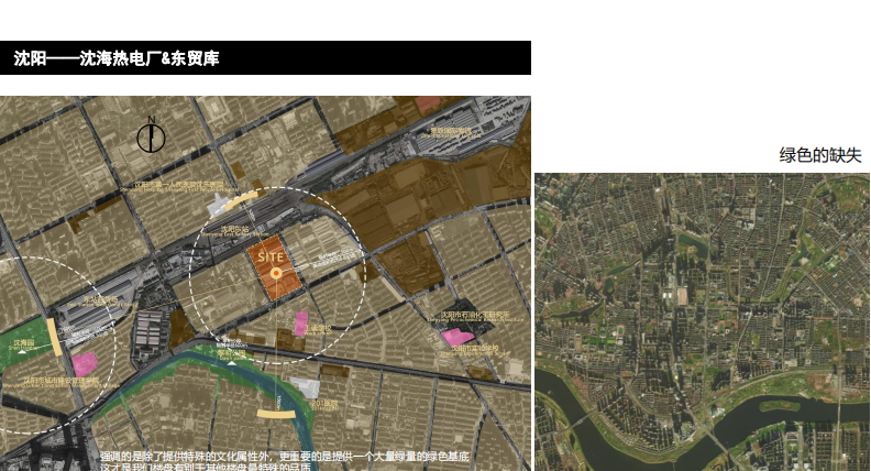 朱玲:動態更新與主動保護