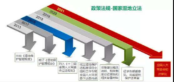 鮑達明：加強濕地保護，促進綠色發展