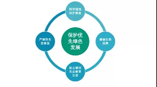 鮑達明：加強濕地保護，促進綠色發展