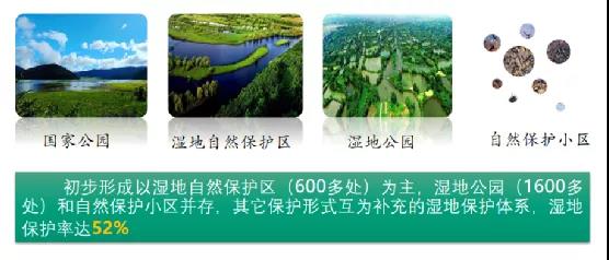 鮑達明：加強濕地保護，促進綠色發展