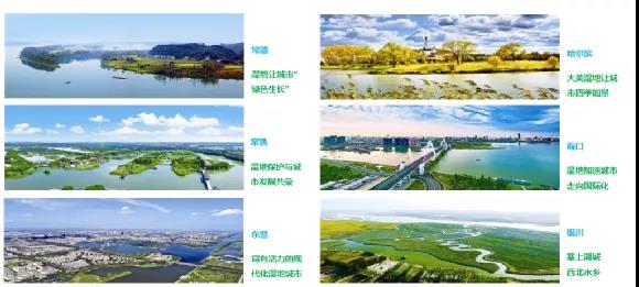 鮑達明：加強濕地保護，促進綠色發展