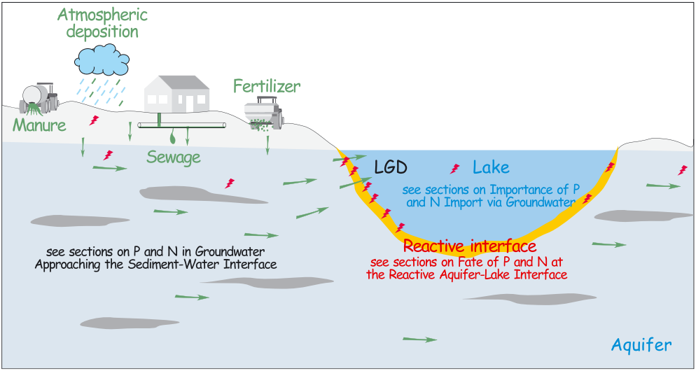王焰新:湖泊富營養化防治環境研究