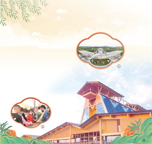 世界園藝博覽會首次落戶長三角地區(qū) 有何看點?