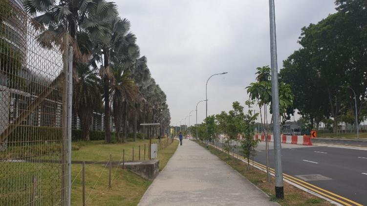 鄧國輝:邁向大自然中的城市