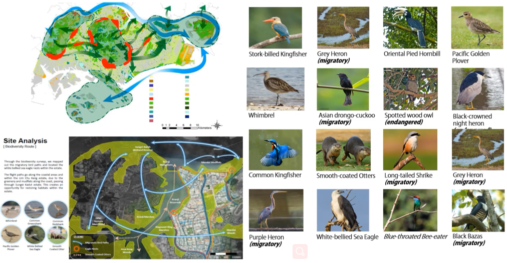 鄧國輝:邁向大自然中的城市