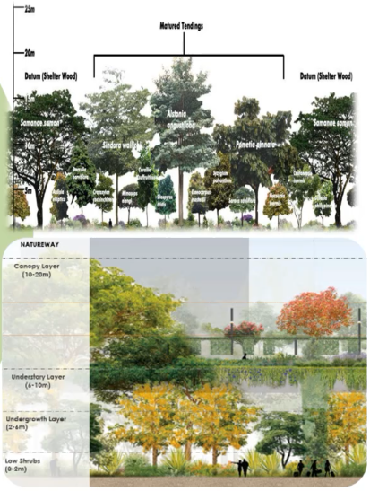 鄧國輝:邁向大自然中的城市