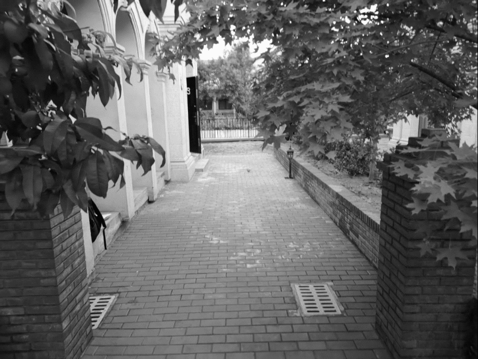 愚工造園丨遠洋傲北