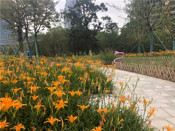 可齋景觀丨寧波·鄞州公園一期八景提升