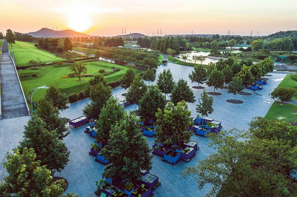 辰山植物園胡永紅：為城市保留泥土記憶