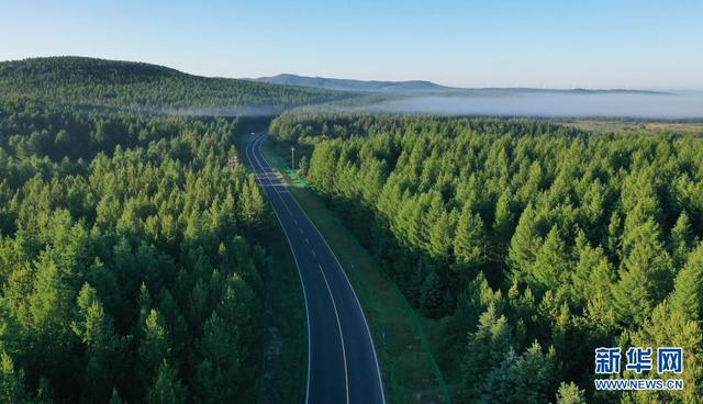 塞罕壩，習近平為何如此關注？