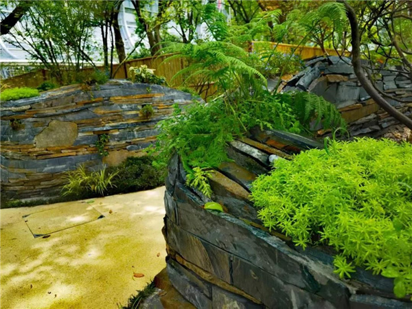 北斗星景觀丨世界會客廳花園