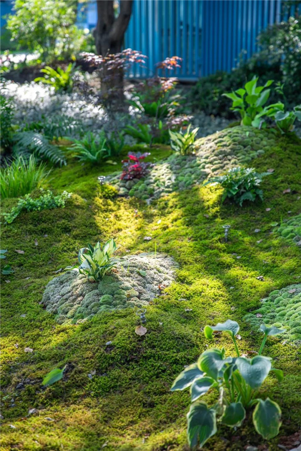 北斗星景觀丨世界會客廳花園