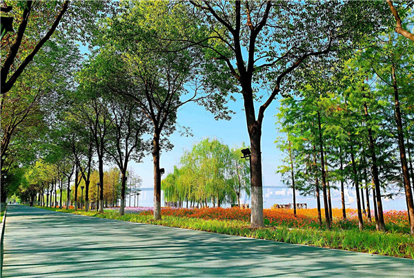 長江左右岸江灘觀光道路景觀