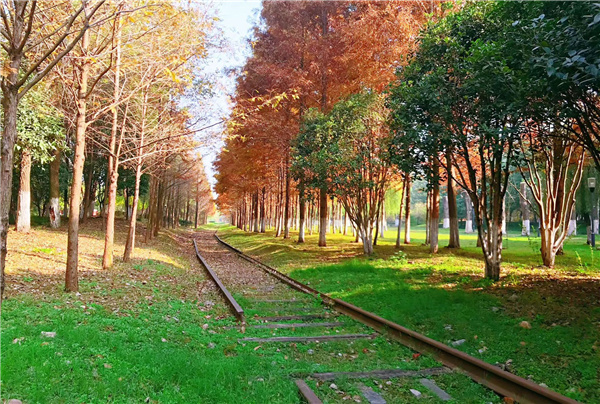 長江左右岸江灘觀光道路景觀