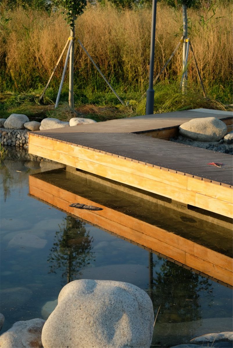 章俊華作品丨差異中的表述——博樂金三角工業區帶狀公園（一期）