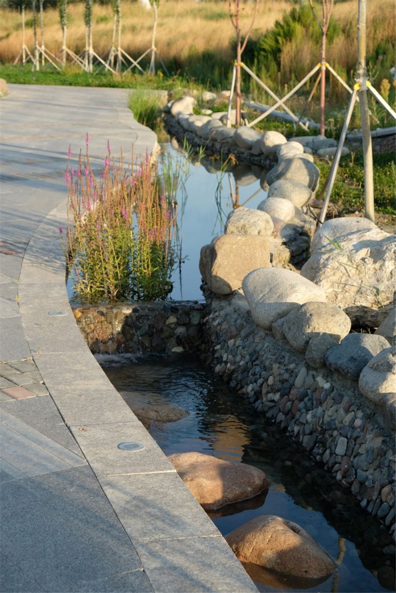 章俊華作品丨差異中的表述——博樂金三角工業區帶狀公園（一期）