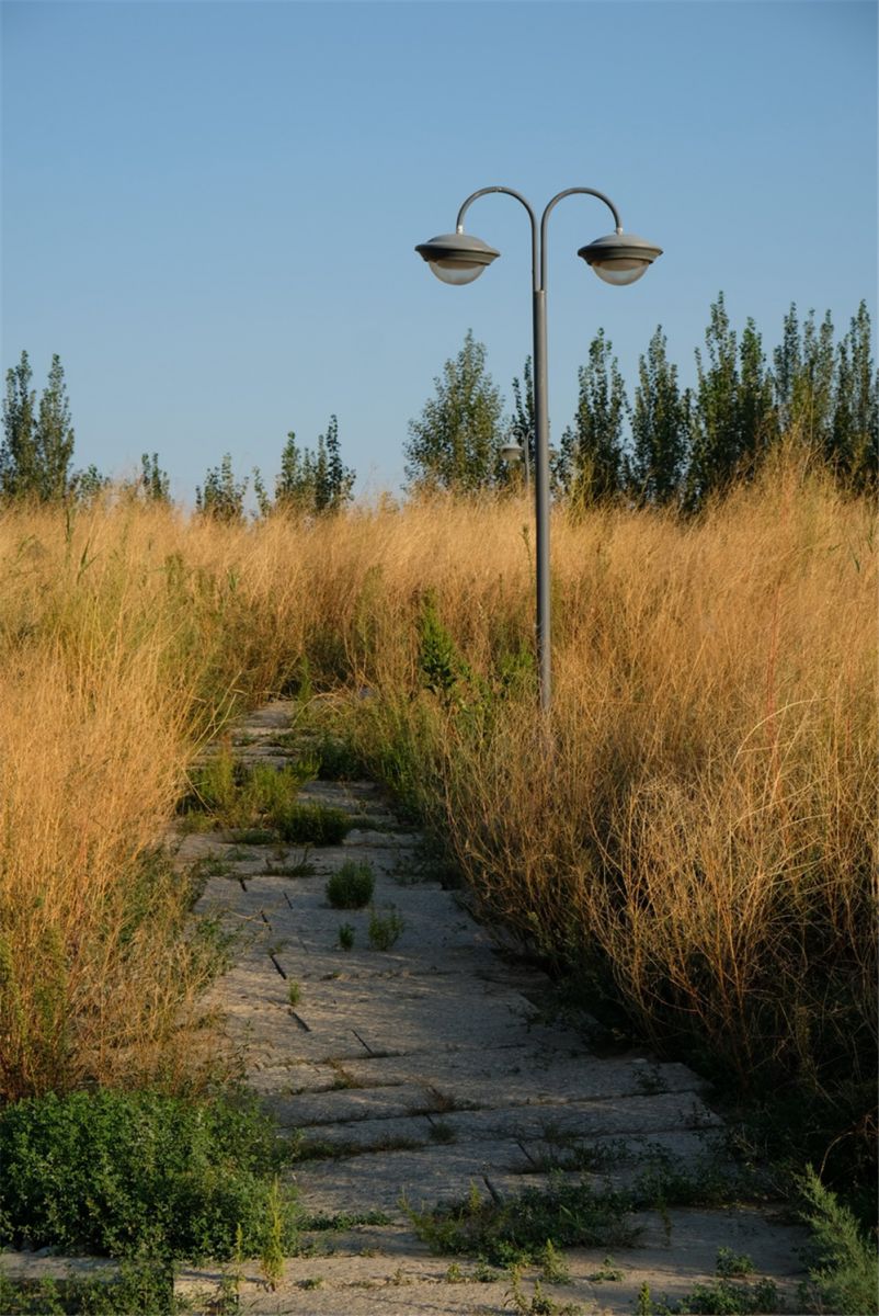 章俊華作品丨差異中的表述——博樂金三角工業區帶狀公園（一期）