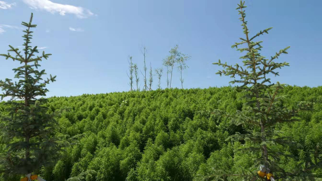 章俊華作品丨差異中的表述——博樂金三角工業區帶狀公園（一期）