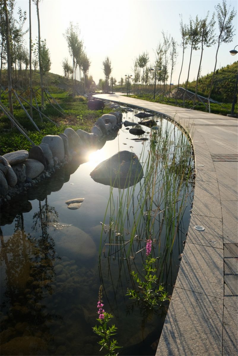 章俊華作品丨差異中的表述——博樂金三角工業區帶狀公園（一期）