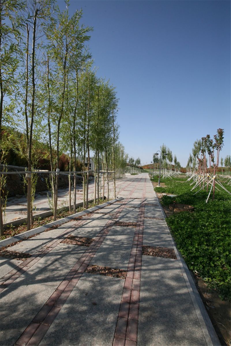 章俊華作品丨差異中的表述——博樂金三角工業區帶狀公園（一期）