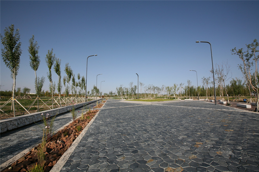 章俊華作品丨差異中的表述——博樂金三角工業區帶狀公園（一期）