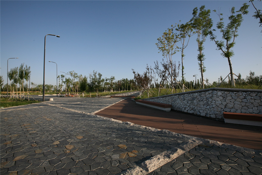 章俊華作品丨差異中的表述——博樂金三角工業區帶狀公園（一期）