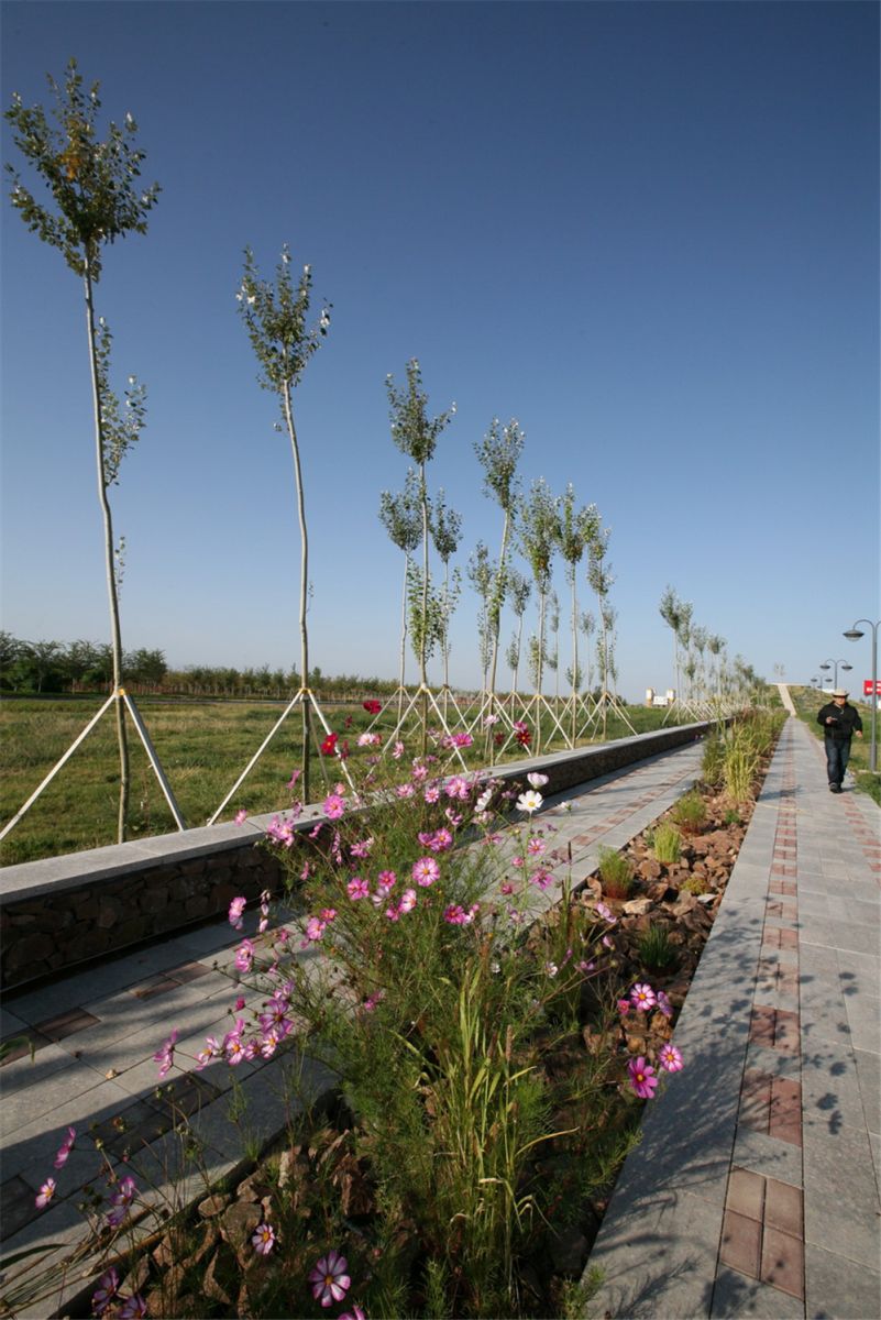 章俊華作品丨差異中的表述——博樂金三角工業區帶狀公園（一期）