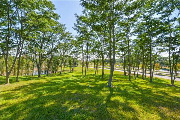 佛山西江產業新城景觀設計