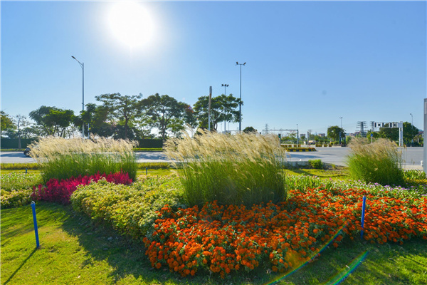 佛山西江產業新城景觀設計