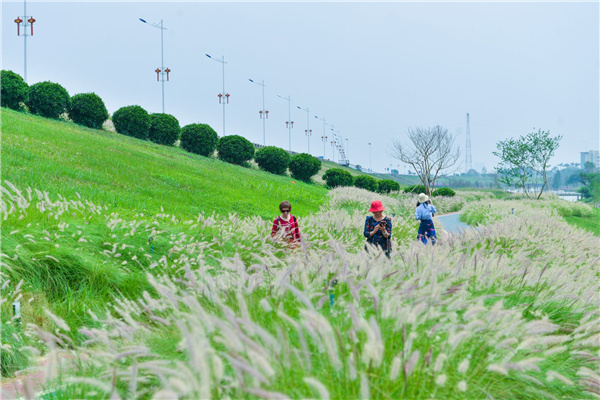佛山西江產業新城景觀設計