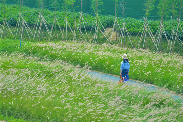 佛山西江產業新城景觀設計