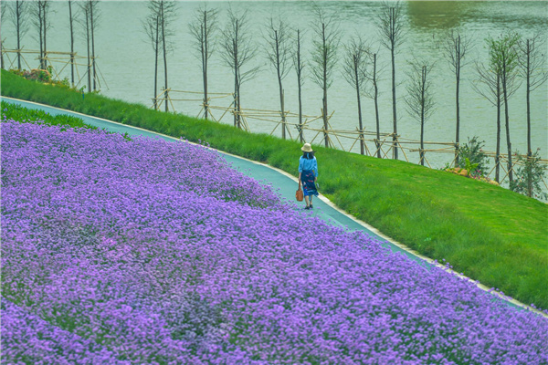 佛山西江產業新城景觀設計