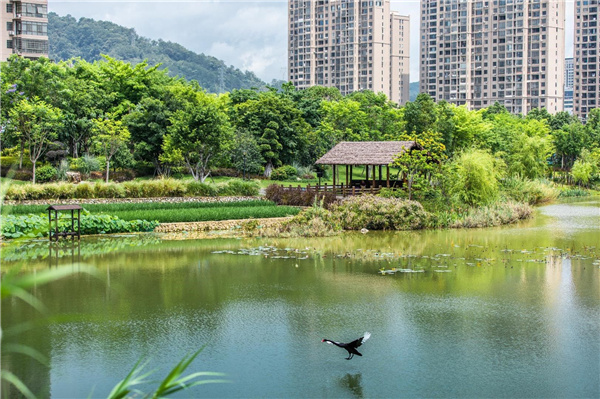 龍巖市龍津湖公園項目