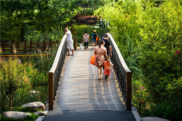 龍巖市龍津湖公園項目